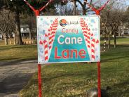 Candy Cane Lane 