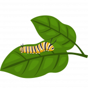 An illustration of a monarch caterpillar on two leaves.