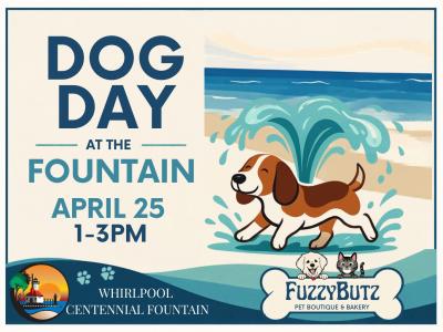 Dog Day at the Fountain