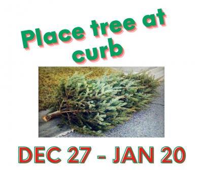 Christmas Tree at Curb