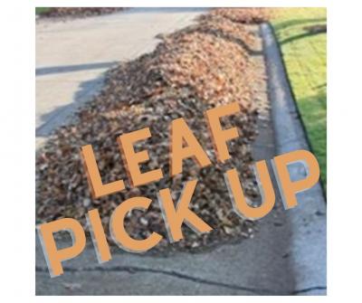 Leaf Pick Up