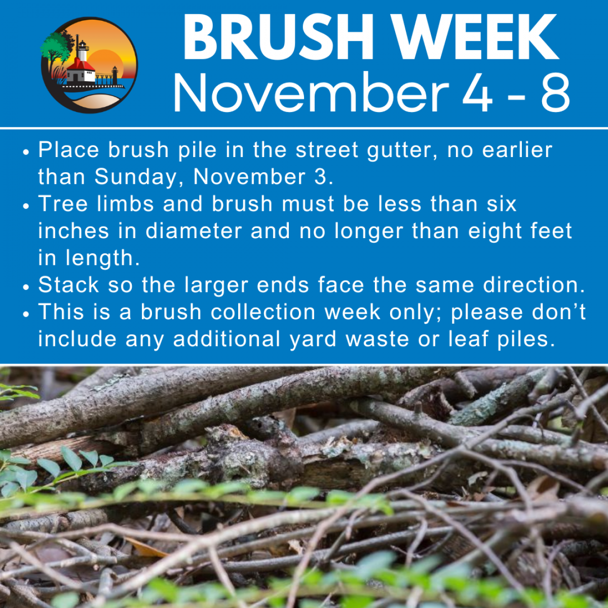 Brush Week